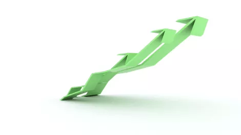 Modest yet solid recovery for ANZ IT