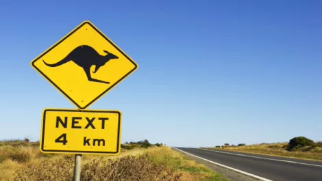 Kiwi firm Livelink links up with Oz email solutions provider