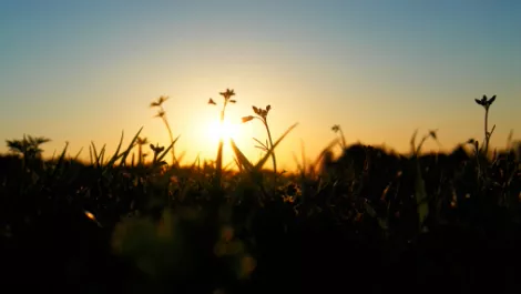 Brocade seeks daylight for Vyatta SDN Controller