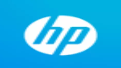 New role for HP's Grey