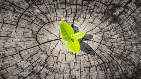 Enterprise adoption drives strong growth for public cloud IaaS