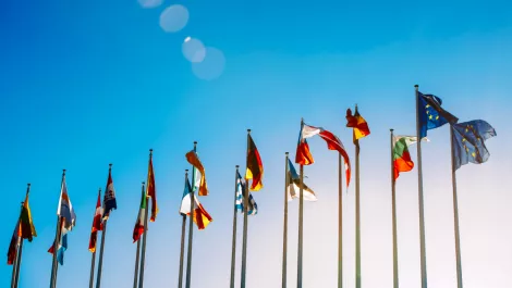 Screen shot 2018 12 18 at 11