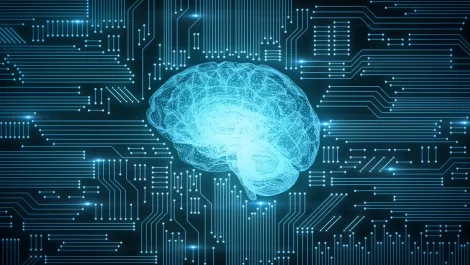 Video: 10 Minute IT Jams - Who is Interactive?