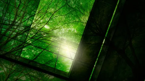 Gettyimages 1348867959