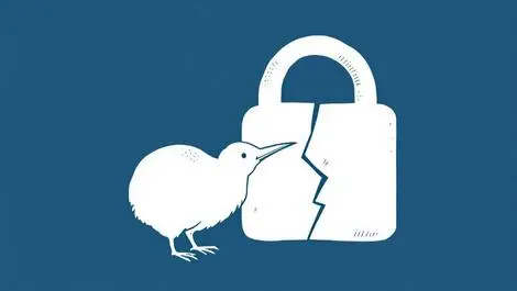 NZ cyber incidents cause NZD $7.8 million loss in early 2025